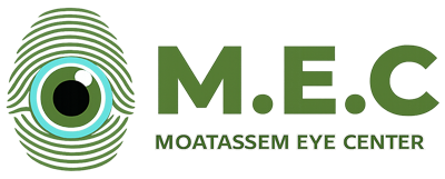 Dr. Ahmed El Moatassem